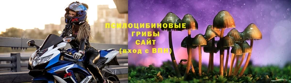 jwh Алзамай