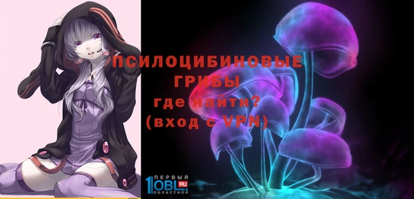 молекула духа Алексин