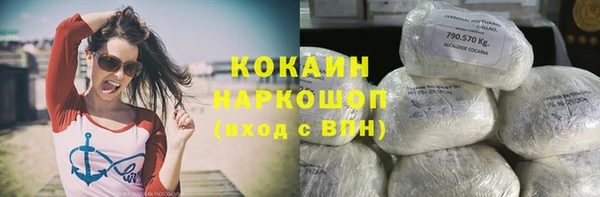 молекула духа Алексин