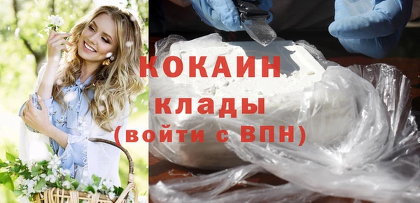 молекула духа Алексин